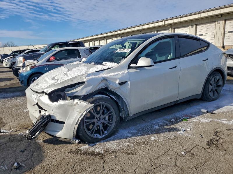 2024 TESLA MODEL Y — VIN 7SAYGDEE0RF202834