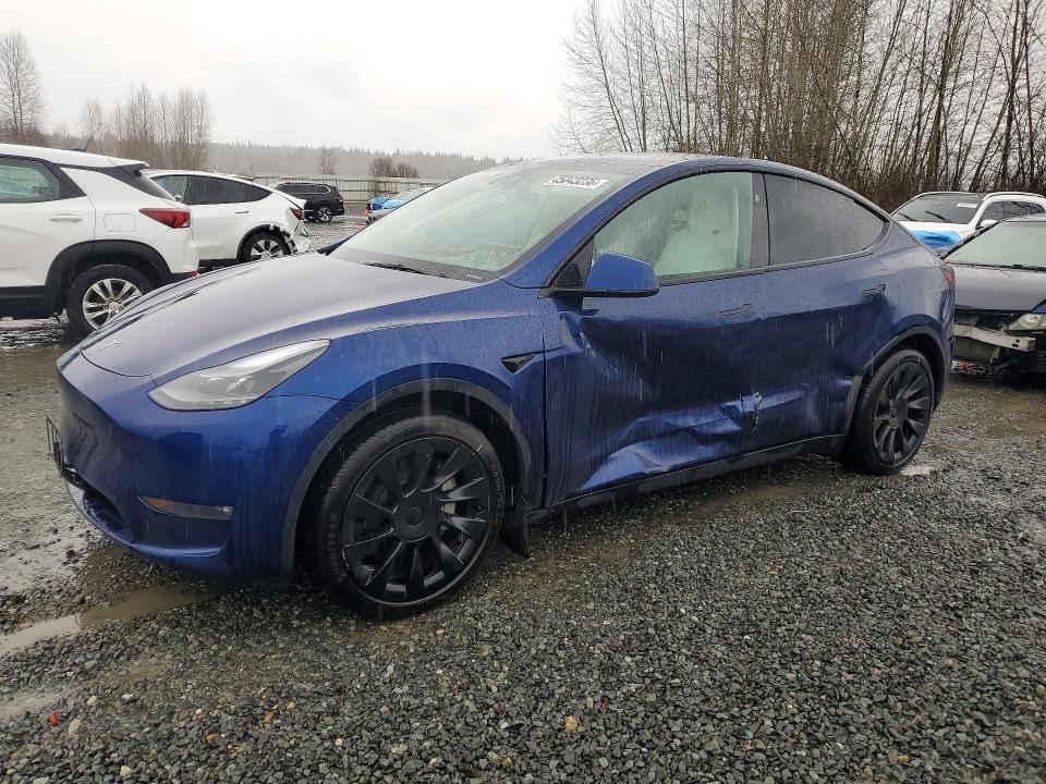 2024 TESLA MODEL Y — VIN 7SAYGAEE1RF081083