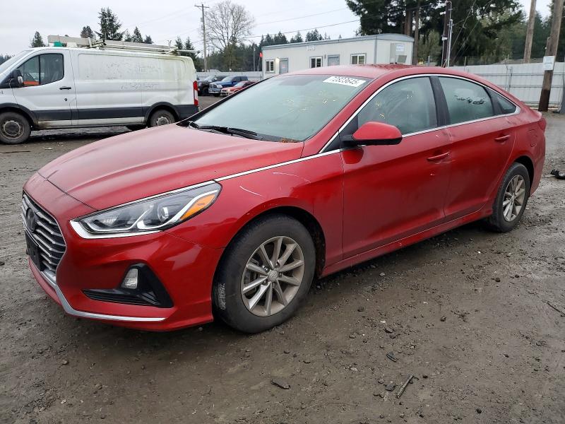 2019 HYUNDAI SONATA — VIN 5NPE24AF9KH817161