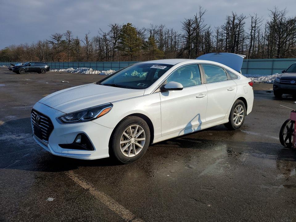 2019 HYUNDAI SONATA — VIN 5NPE24AFXKH745130
