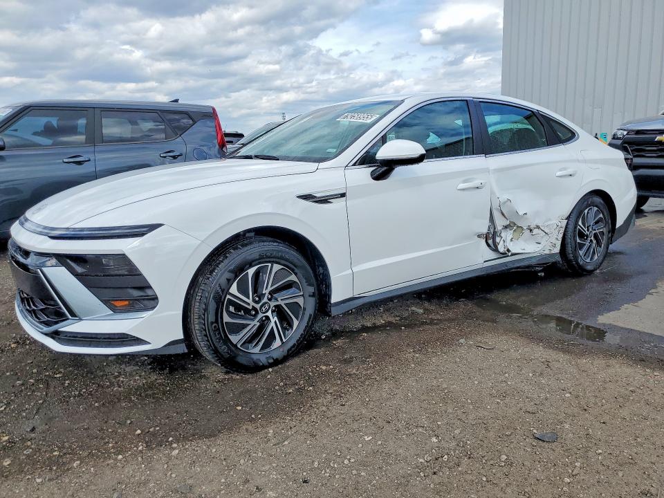 2026 HYUNDAI SONATA HYBRID — VIN KMHL24JJXTA146289