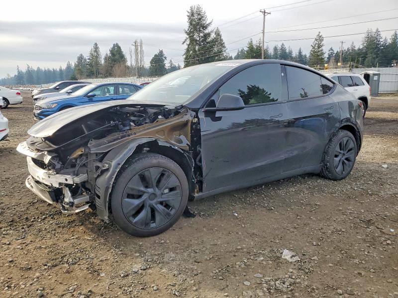 2025 TESLA MODEL Y — VIN 7SAYGAEEXSF303478