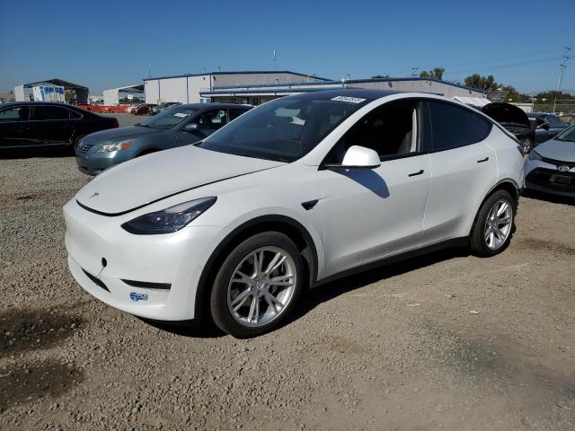 2021 TESLA MODEL Y — VIN 5YJYGDEE1MF094729
