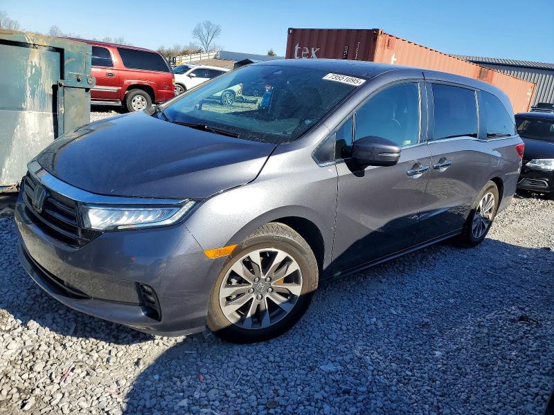 2023 HONDA ODYSSEY — VIN 5FNRL6H60PB035563