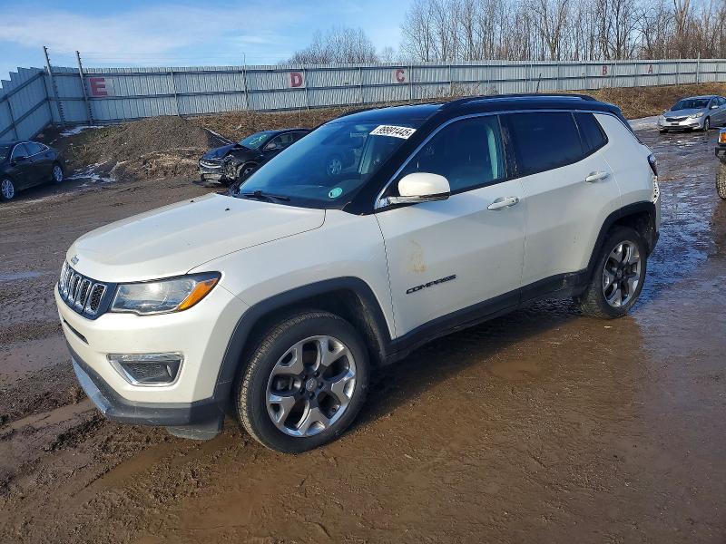 2019 JEEP COMPASS LI — VIN 3C4NJDCB3KT842330