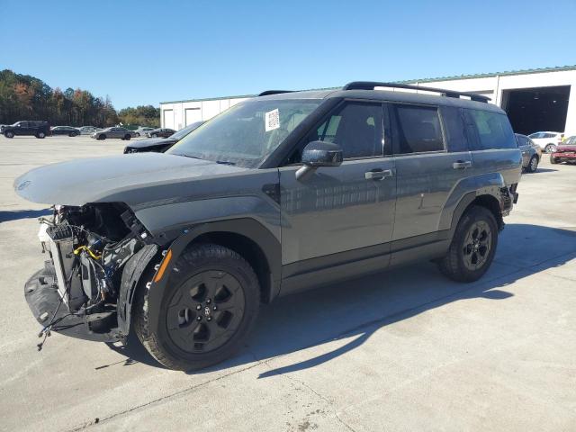 2025 HYUNDAI SANTA FE — VIN 5NMP3DGL4SH118746