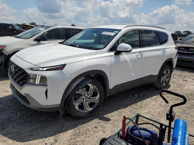 2023 HYUNDAI SANTA FE S — VIN 5NMS2DAJ1PH537391
