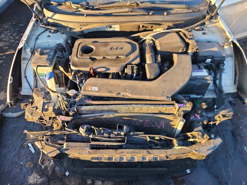 5NPE34AF8HH519917