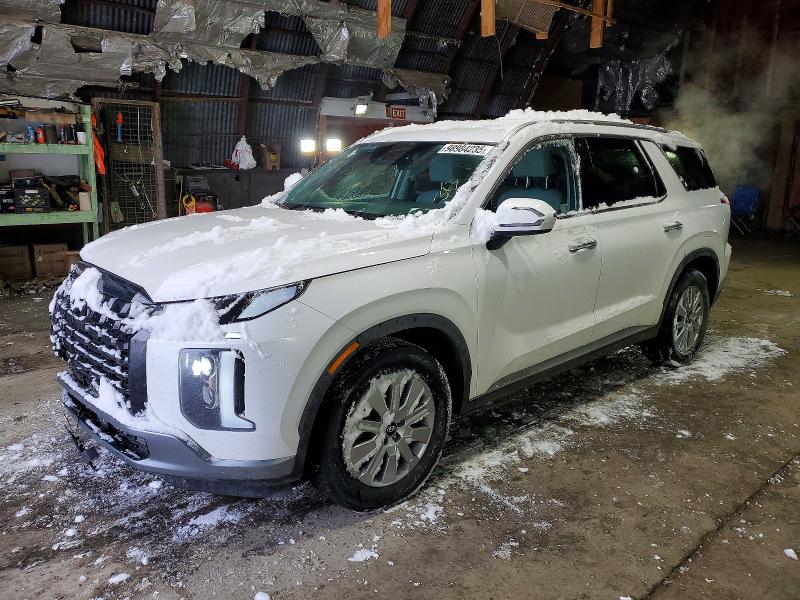 2025 HYUNDAI PALISADE — VIN KM8R2DGE6SU900564