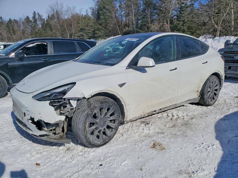 2024 TESLA MODEL Y — VIN 7SAYGDEE1RF123320