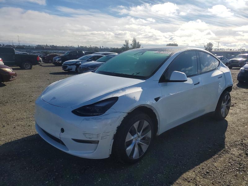 2024 TESLA MODEL Y — VIN 7SAYGAEE6RF070130