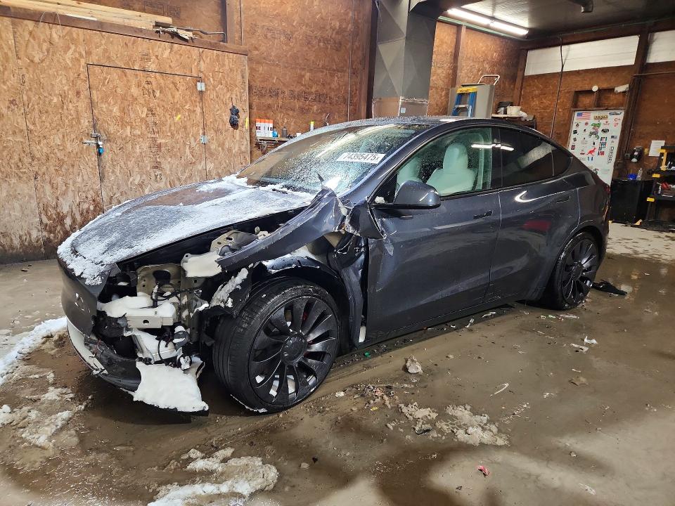 2023 TESLA MODEL Y — VIN 7SAYGDEF3PF603428