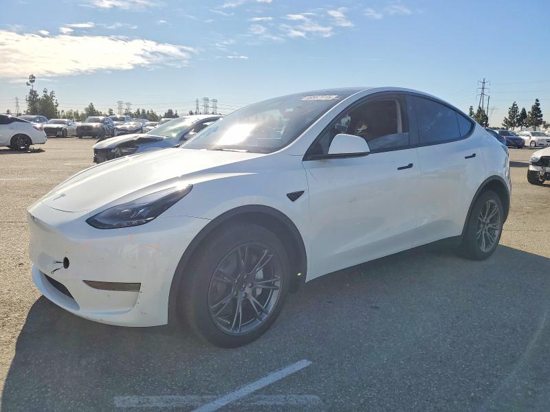 2024 TESLA MODEL Y — VIN 7SAYGDED8RF202684