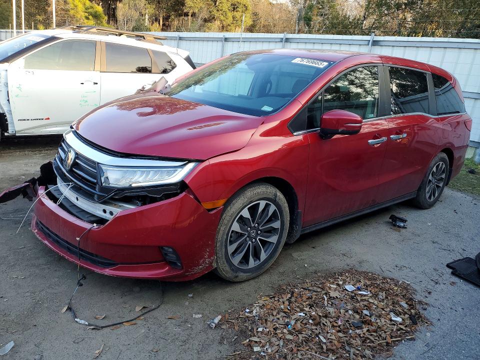2024 HONDA ODYSSEY — VIN 5FNRL6H69RB002161
