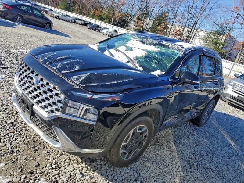2023 HYUNDAI SANTA FE — VIN 5NMS2DA1XPH011308