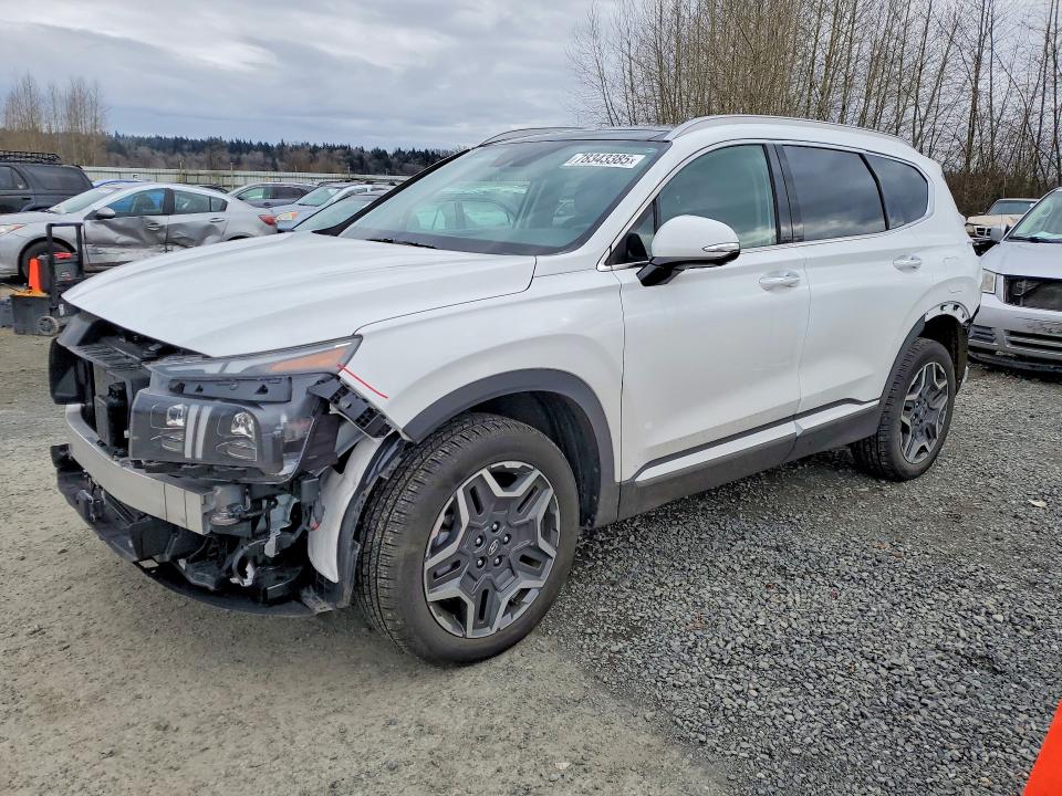 2023 HYUNDAI SANTA FE — VIN 5NMS5DA19PH019696