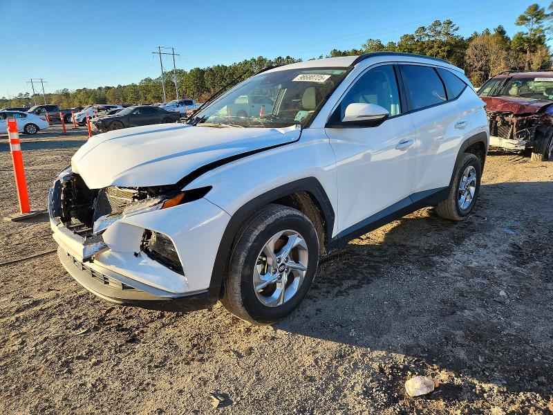 2023 HYUNDAI TUCSON — VIN 5NMJBCAE5PH281667
