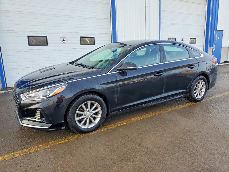 2019 HYUNDAI SONATA — VIN 5NPE24AF1KH794944