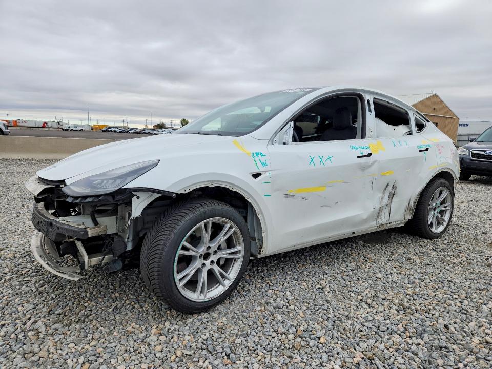 2021 TESLA MODEL Y — VIN 5YJYGAEE2MF172823