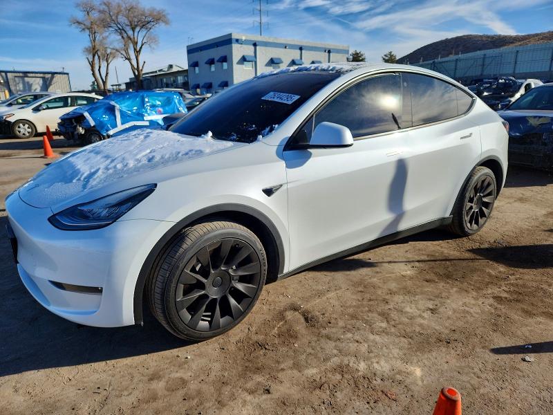 2023 TESLA MODEL Y — VIN 7SAYGDEE8PA093534