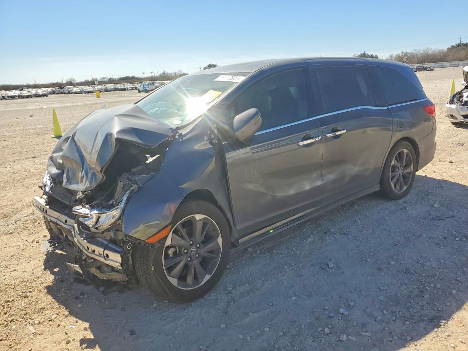 2024 HONDA ODYSSEY — VIN 5FNRL6H93RB016244