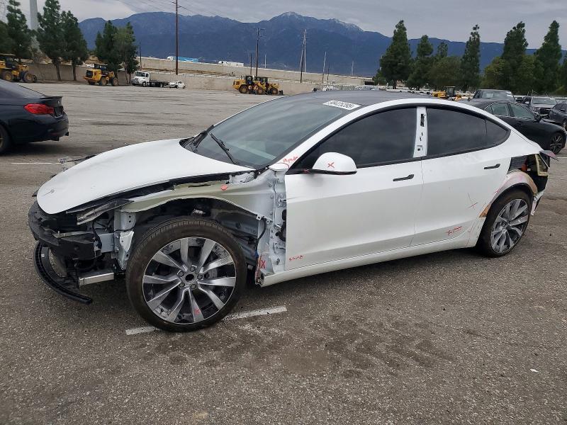 2025 TESLA MODEL 3 — VIN 5YJ3E1EA1SF019313