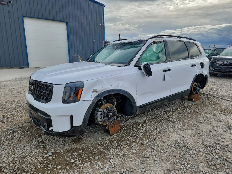 2024 KIA TELLURIDE — VIN 5XYP5DGC8RG469500