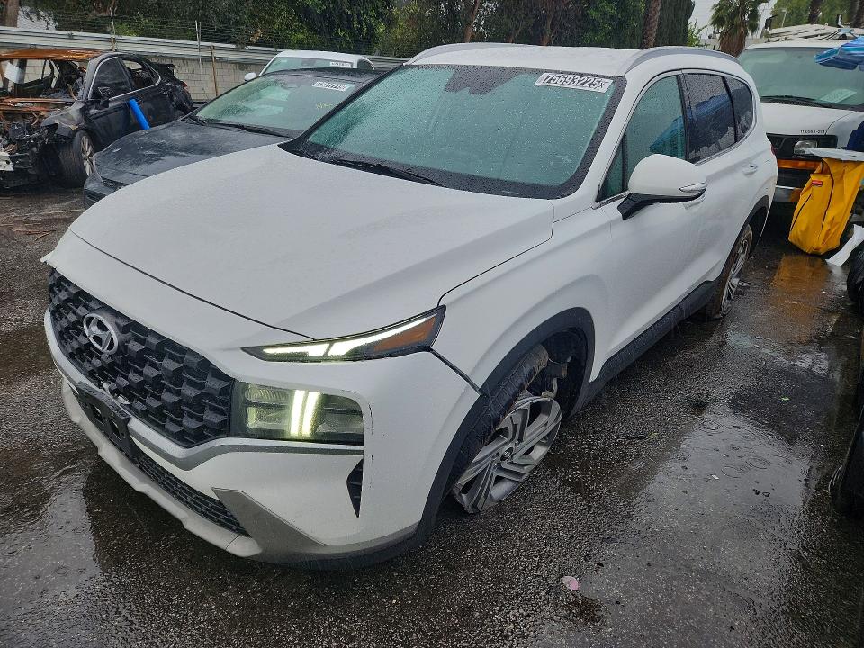 2023 HYUNDAI SANTA FE — VIN 5NMS24AJ8PH568721
