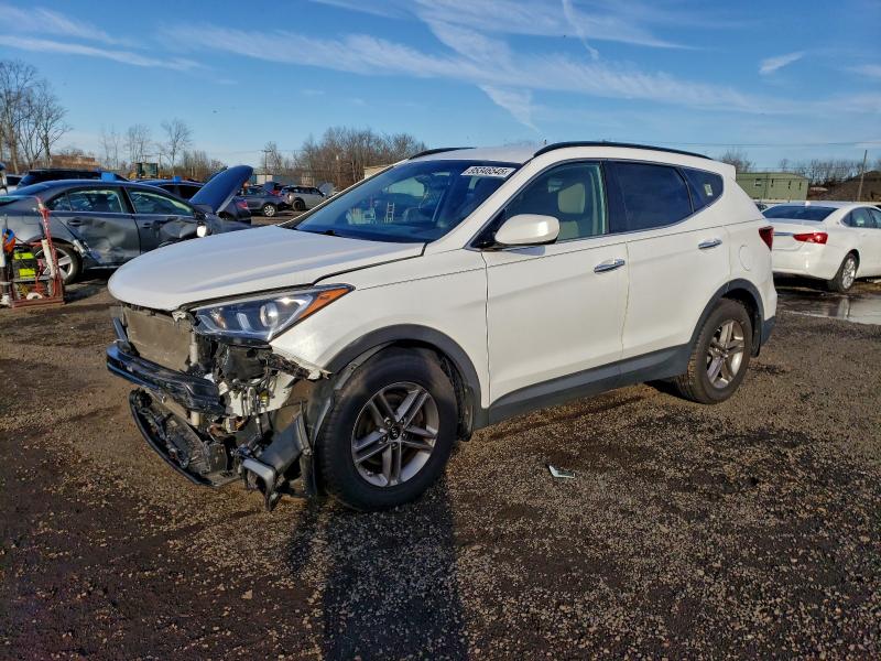 2017 HYUNDAI SANTA FE S — VIN 5NMZUDLB0HH038193