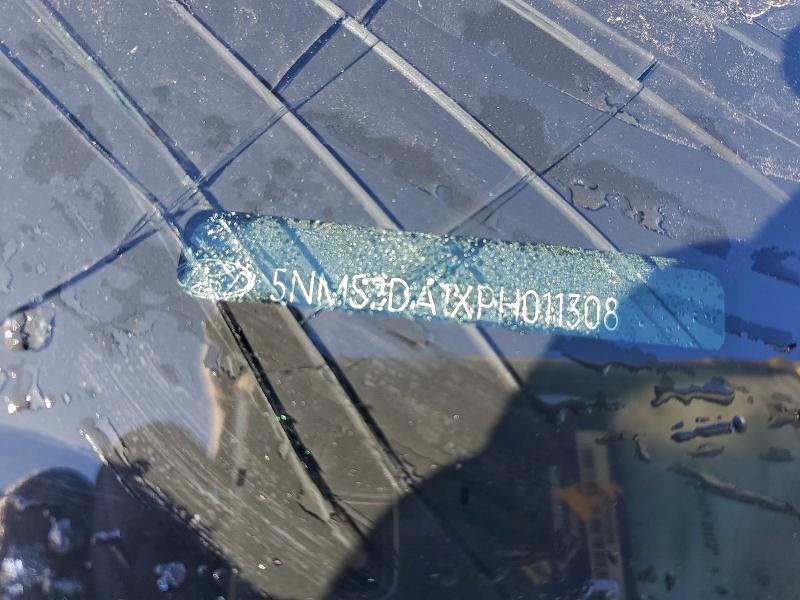 5NMS2DA1XPH011308