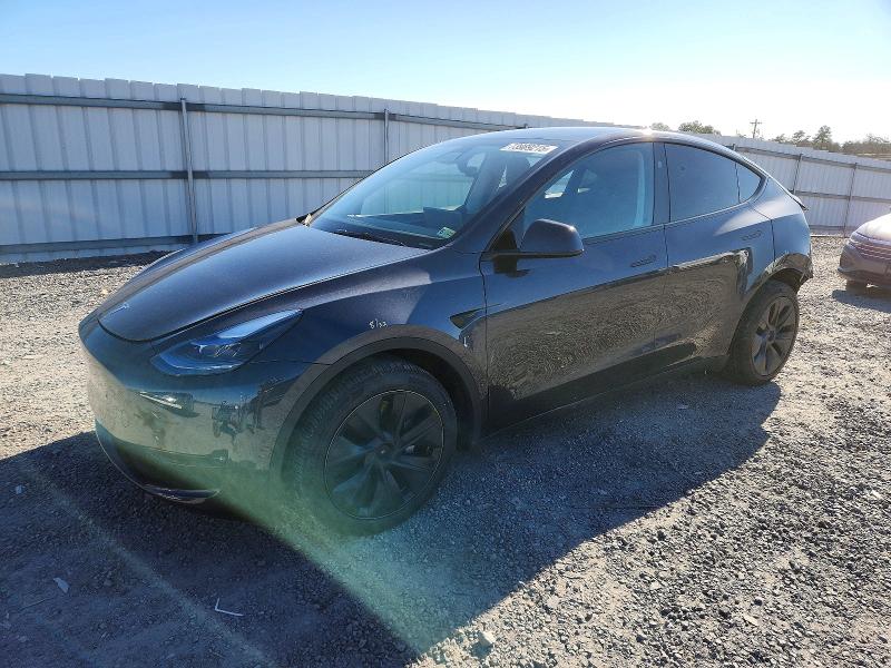 2024 TESLA MODEL Y — VIN 7SAYGDEE7RA300871