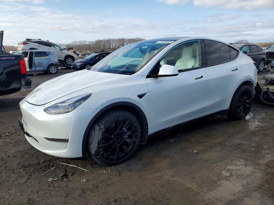 2021 TESLA MODEL Y — VIN 5YJYGDEE9MF081081