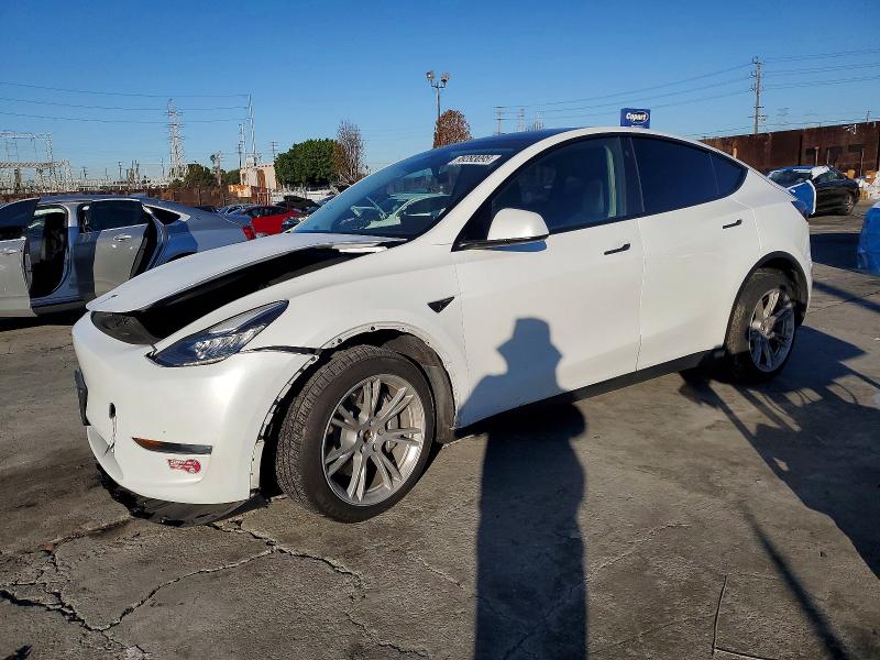2023 TESLA MODEL Y — VIN 7SAYGDEF1PA049822