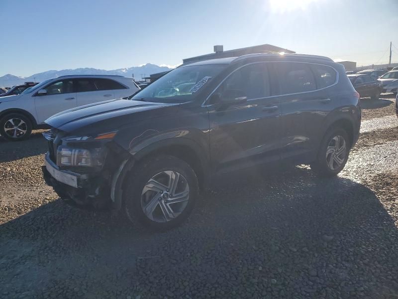 2023 HYUNDAI SANTA FE — VIN 5NMS2DAJ9PH492829