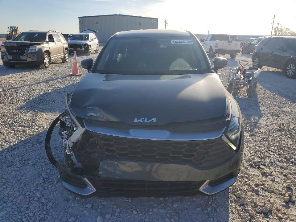 KNDPU3AF4P7135779