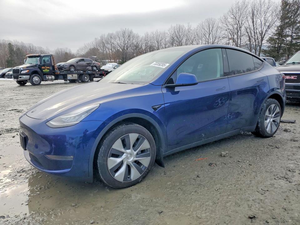 2023 TESLA MODEL Y — VIN 7SAYGDEEXPA135248