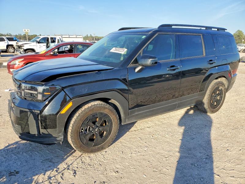 2024 HYUNDAI SANTA FE — VIN 5NMP3DGL5RH010291