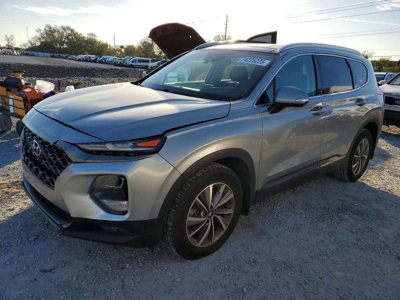 2020 HYUNDAI SANTA FE L — VIN 5NMS53AD9LH246806