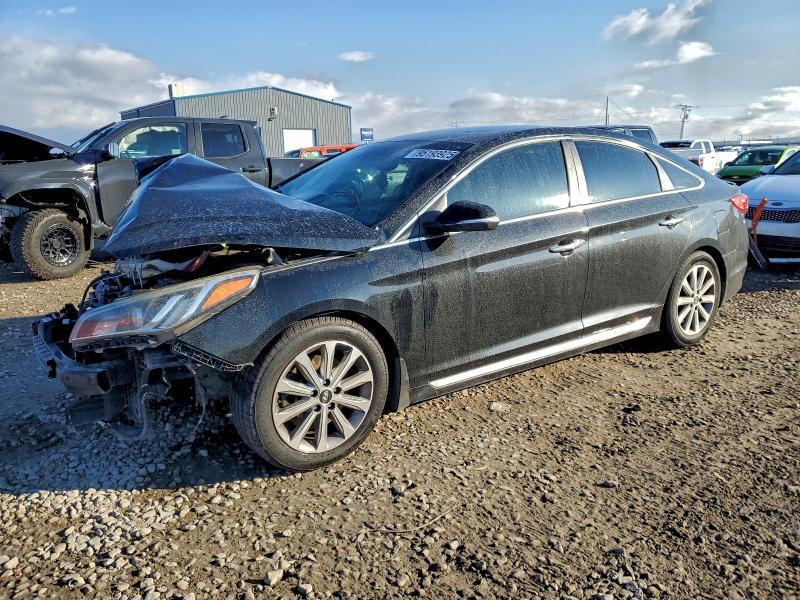 2017 HYUNDAI SONATA SPO — VIN 5NPE34AF7HH585200