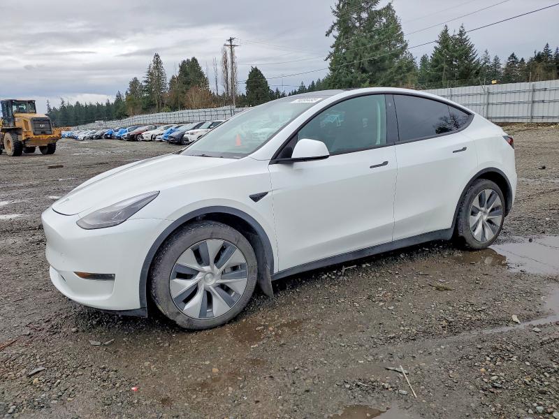 2023 TESLA MODEL Y — VIN 7SAYGDEE0PF606682