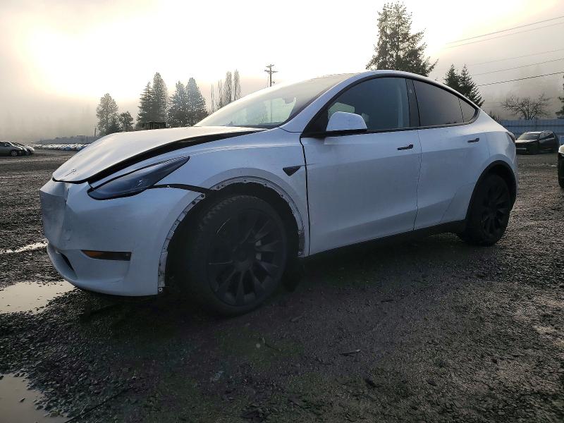 2023 TESLA MODEL Y — VIN 7SAYGDEE7PF859899