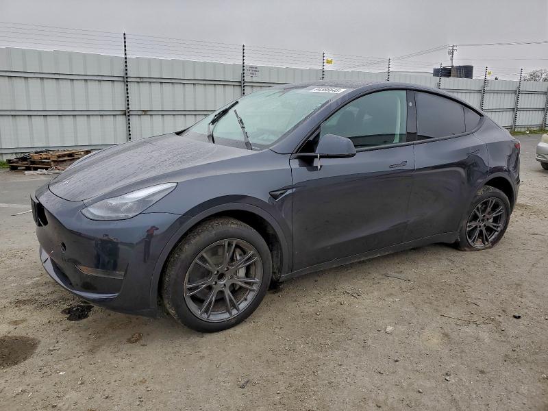 2024 TESLA MODEL Y — VIN 7SAYGDED1RF195304