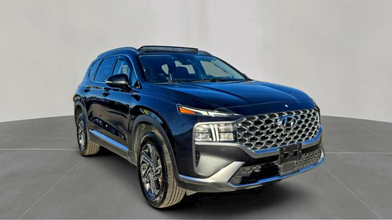 2021 HYUNDAI SANTA FE — VIN 5NMS3DAJ9MH319000