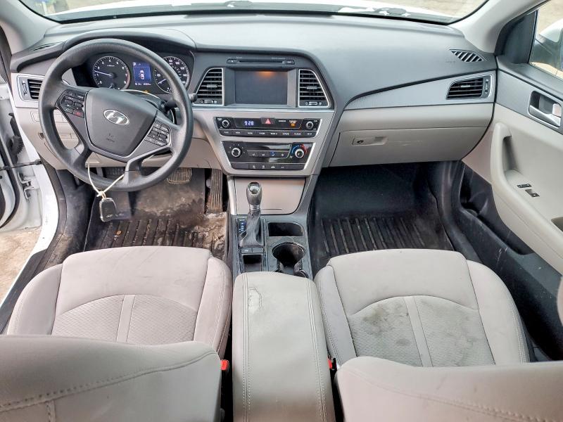 5NPE24AF8GH384455