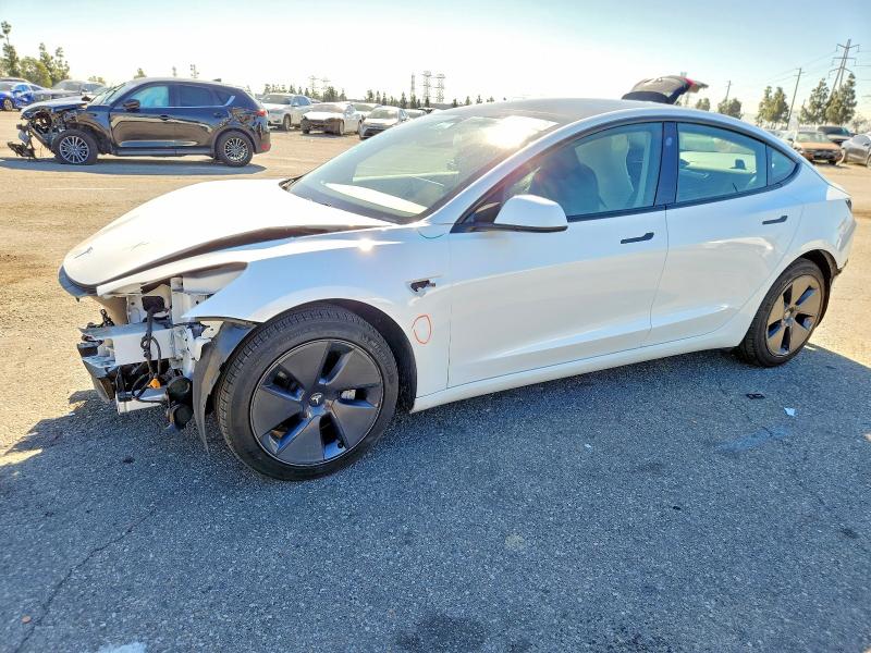 2023 TESLA MODEL 3 — VIN 5YJ3E1EA6PF564981