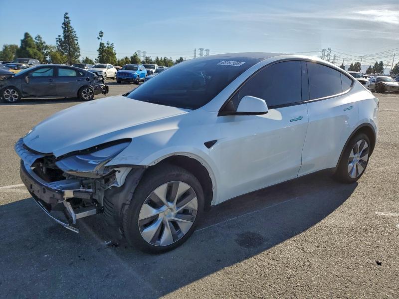 2024 TESLA MODEL Y — VIN 7SAYGDEE5RA260337