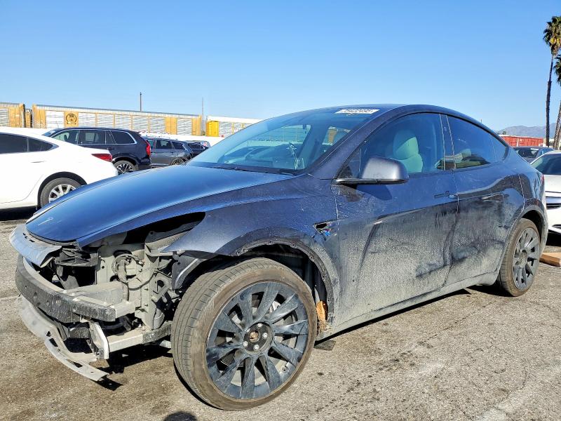 2024 TESLA MODEL Y — VIN 7SAYGDEE2RA250901