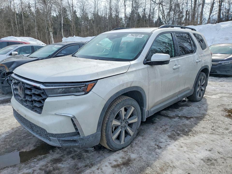 2024 HONDA PILOT — VIN 5FNYG1H73RB501159