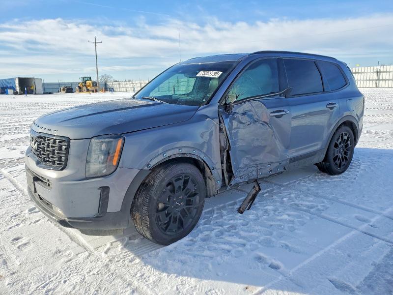 2022 KIA TELLURIDE — VIN 5XYP5DHC7NG250939