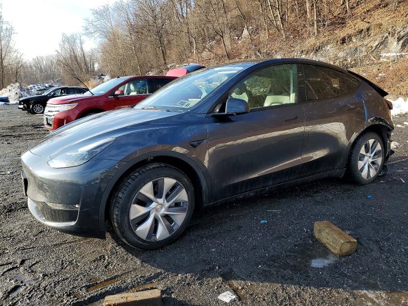 2024 TESLA MODEL Y — VIN 7SAYGAEEXRF090428
